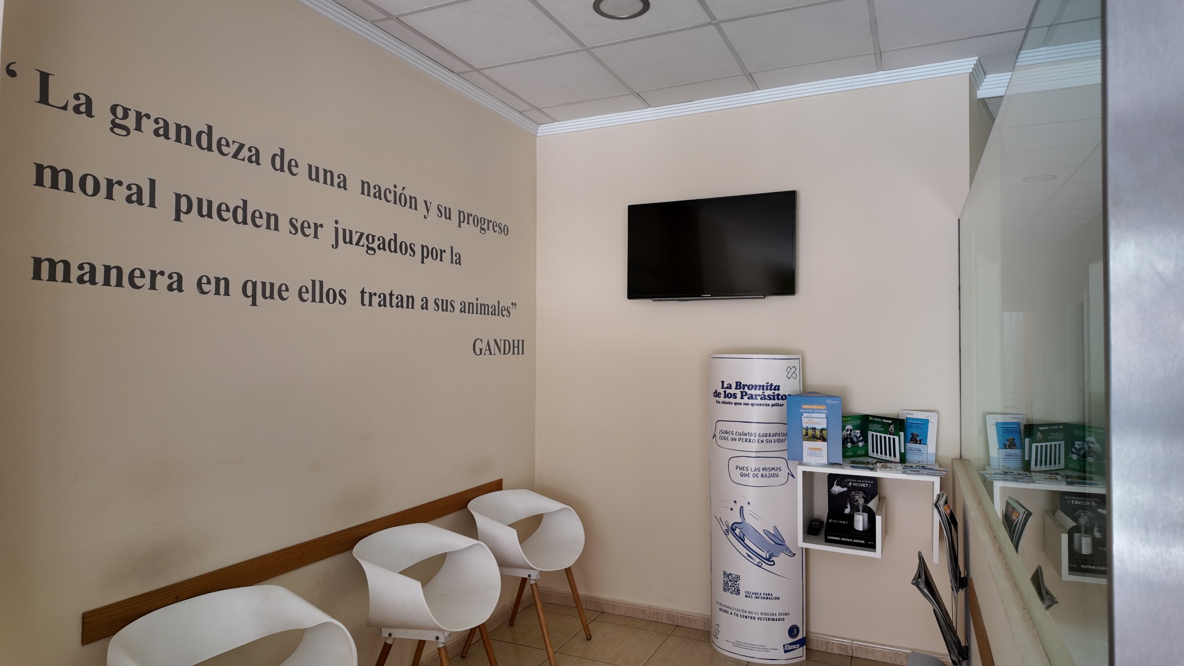 clinica-veterinaria-hellin-26 (3)