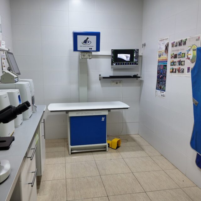clinica-veterinaria-hellin-26 (36)