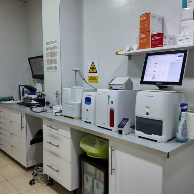 clinica-veterinaria-hellin-26 (48)