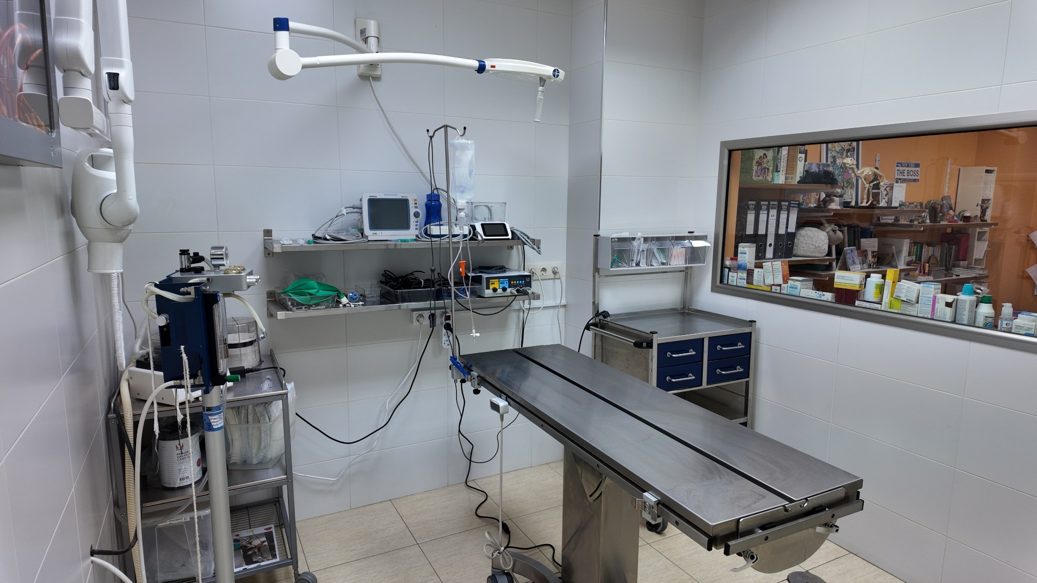 clinica-veterinaria-hellin-26 (55)