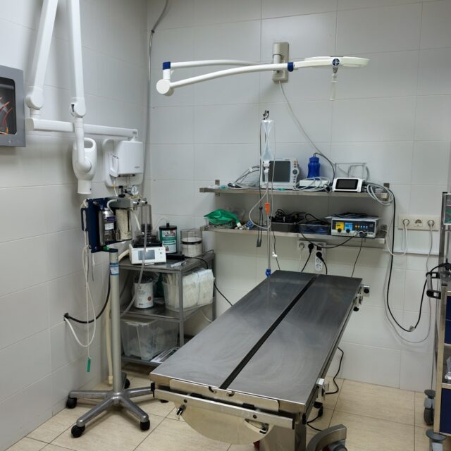 clinica-veterinaria-hellin-26 (58)