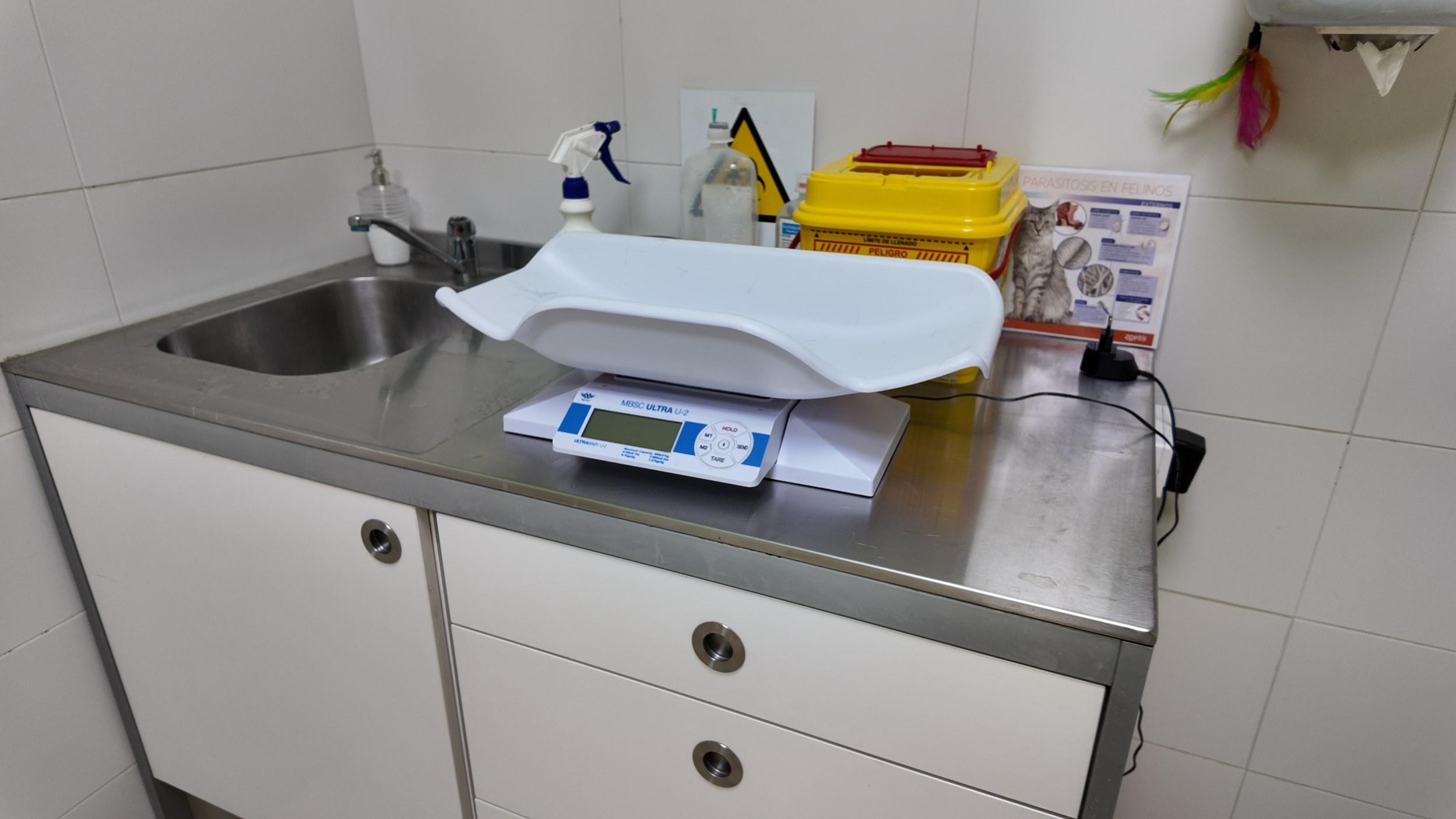 clinica-veterinaria-hellin-26 (64)
