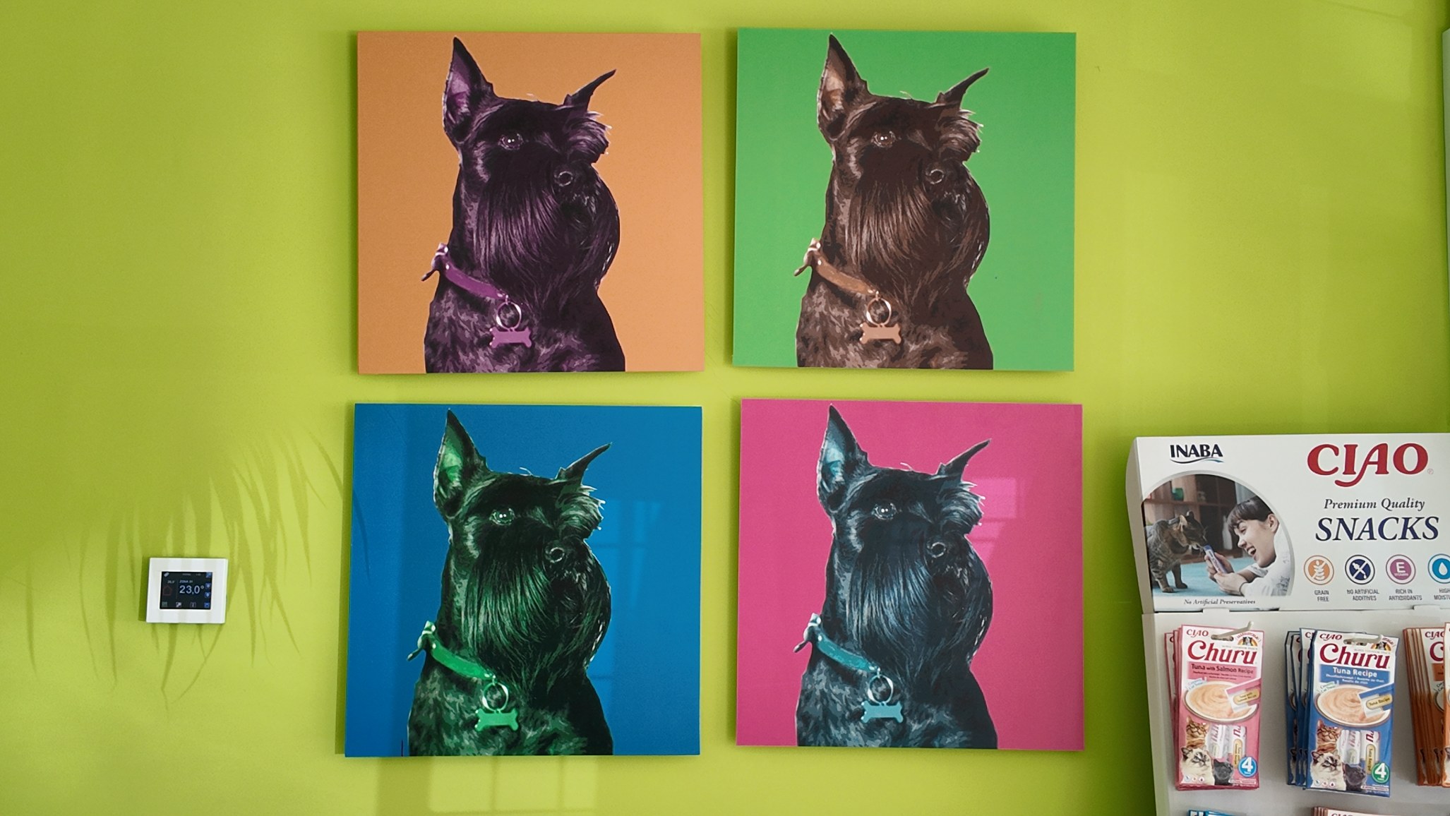 clinica-veterinaria-hellin-26 (8)